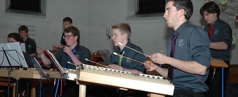 Die Mitglieder des Hackbrett Jugend Orchesters Schweiz ganz konzentriert